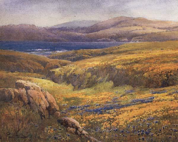 unknow artist Point Lobos in the Springtime Spain oil painting art